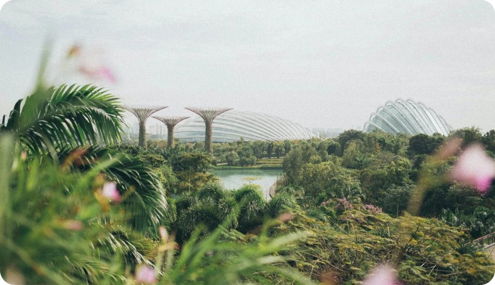 2025年新加坡财政预算案 : 企业与人力资源管理者要点解析