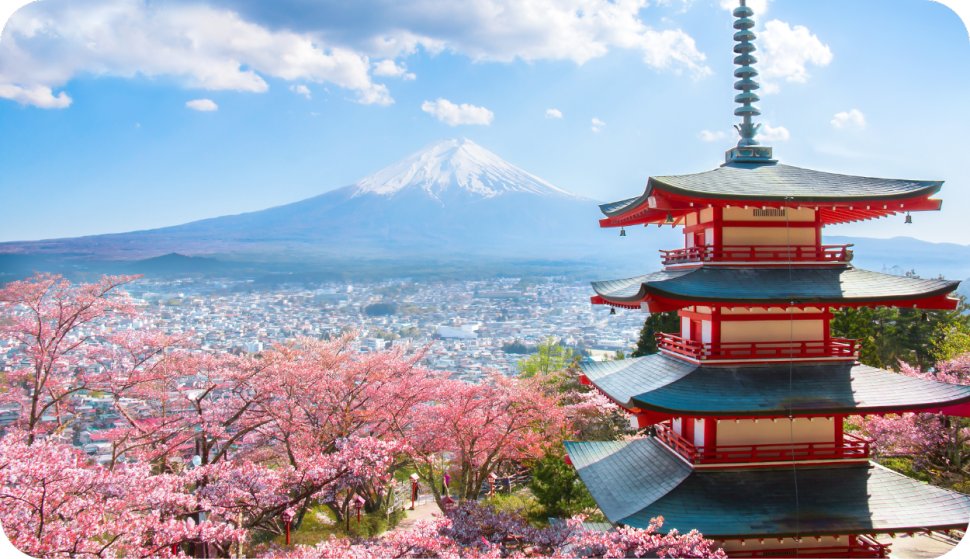 【出海必看】2025Q2日本最新人事外包法规更新